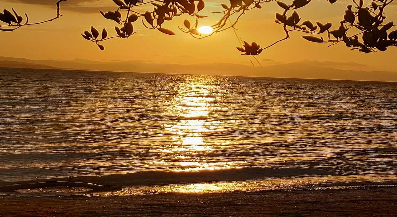 Tranquilidad
